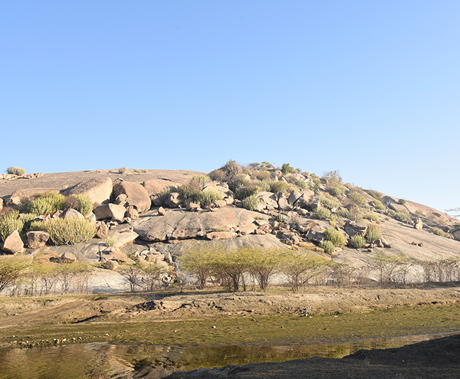 Exciting Gypsy Safari in Jawai